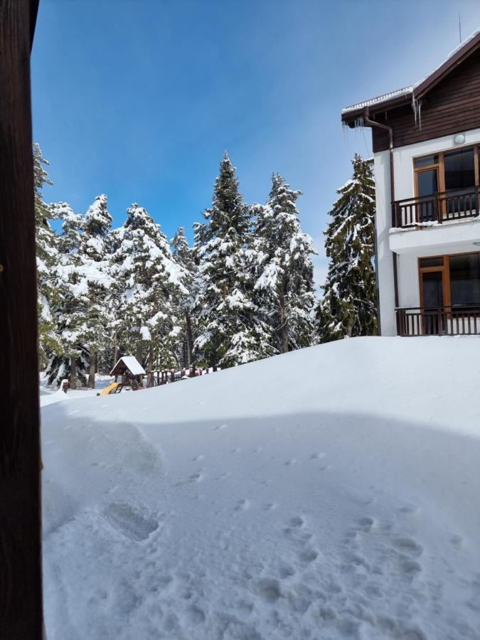 Borovets Ski&Spa Studio - Semiramida Garden A16 Eksteriør billede