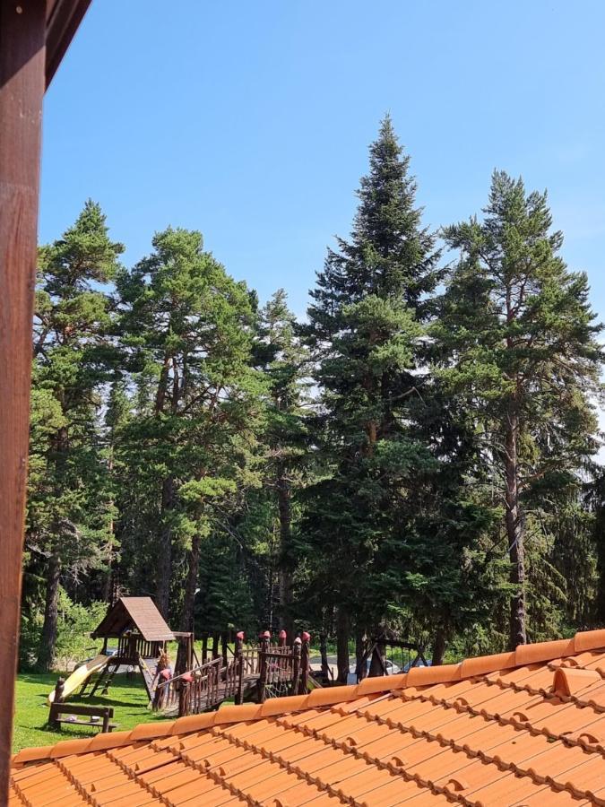 Borovets Ski&Spa Studio - Semiramida Garden A16 Eksteriør billede